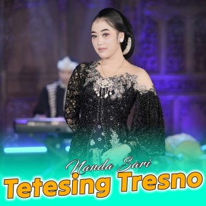 Nanda Sari的專輯Tetesing Tresno