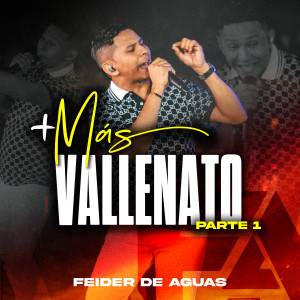 Album Más Vallenato, Pt. 1 (En Vivo) from Feider De Aguas