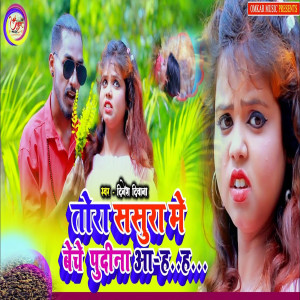 Album Tora Sasura Me Beche Pudina oleh Dinesh Deewana