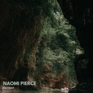 Listen to Patient (Single Edit) song with lyrics from Naomi Pierce
