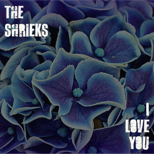 Album I Love You from The Shrieks