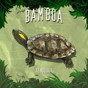 Dengarkan lagu Bamboa nyanyian Xenology dengan lirik