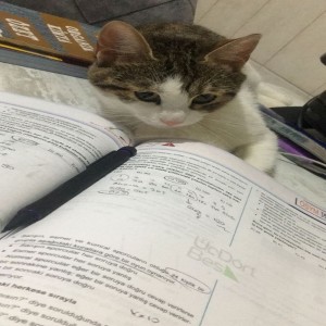 收聽徐良的觸電歌詞歌曲