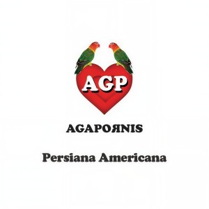 ดาวน์โหลดและฟังเพลง Someone Like You พร้อมเนื้อเพลงจาก Agapornis