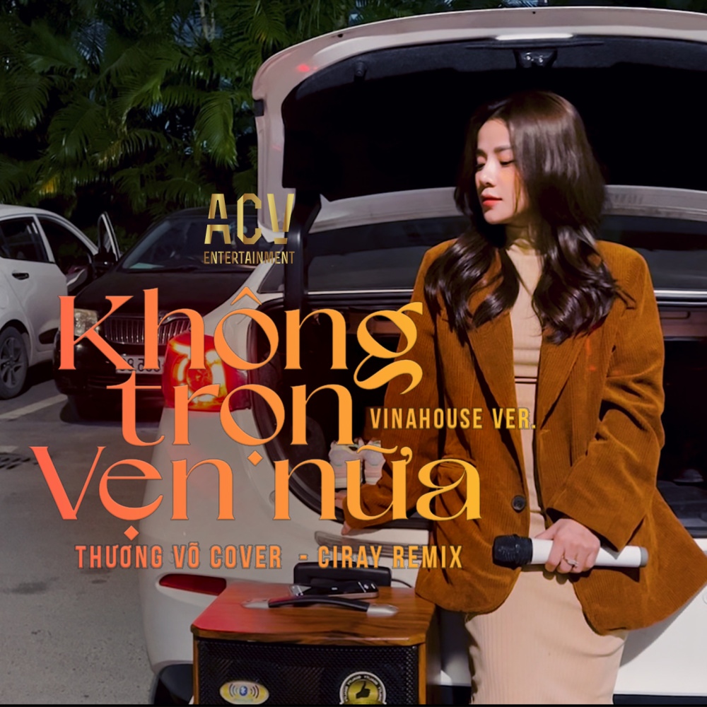 Không Trọn Vẹn Nữa (Ciray Remix)