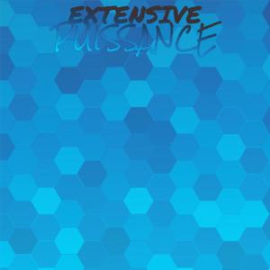 Various Artists的專輯Extensive Puissance