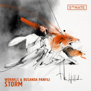 Album Storm oleh Rusanda Panfili