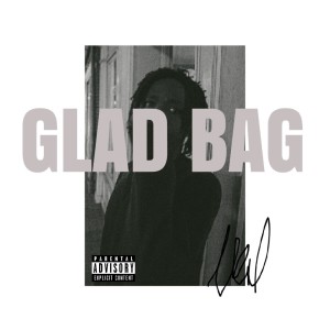 VAL STRASSER的專輯Glad Bag