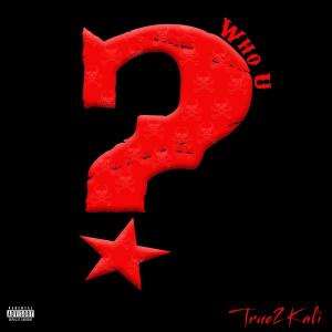 ดาวน์โหลดและฟังเพลง Who U (Explicit) พร้อมเนื้อเพลงจาก True2Kali