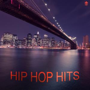 Various Artists的專輯Hip Hop Hits