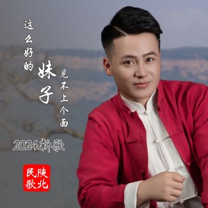 Album 这么好的妹子见不上个面（陕北民歌） from 李德红