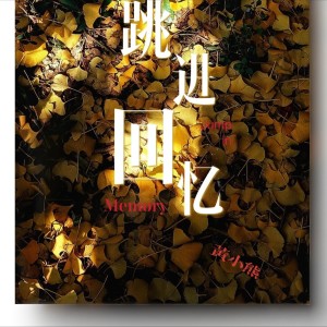 Album 跳进回忆 from 黄小熊