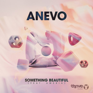 Album Something Beautiful from Anevo