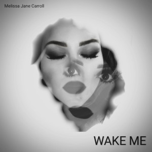 Melissa Jane Carroll的专辑Wake Me
