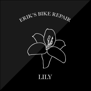 Listen to Lily song with lyrics from Erik's Bike Repair