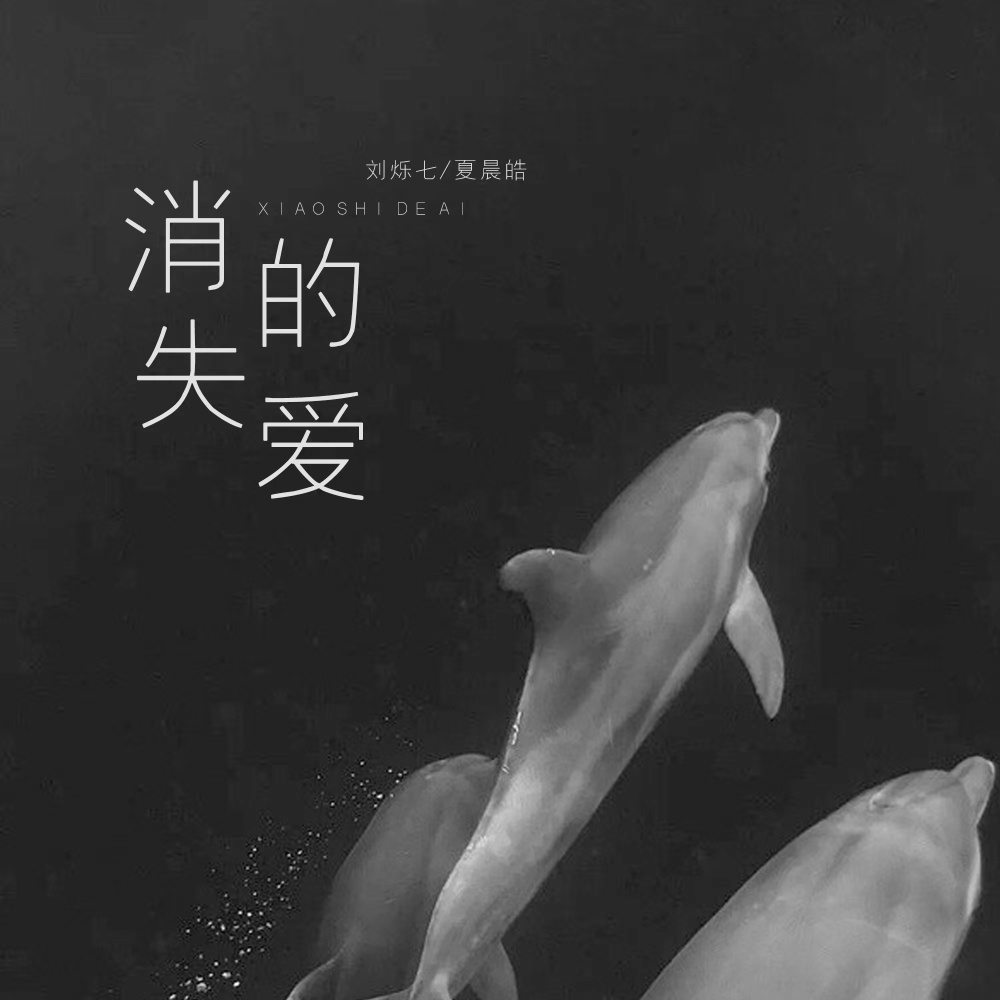 消失的爱 (伴奏)
