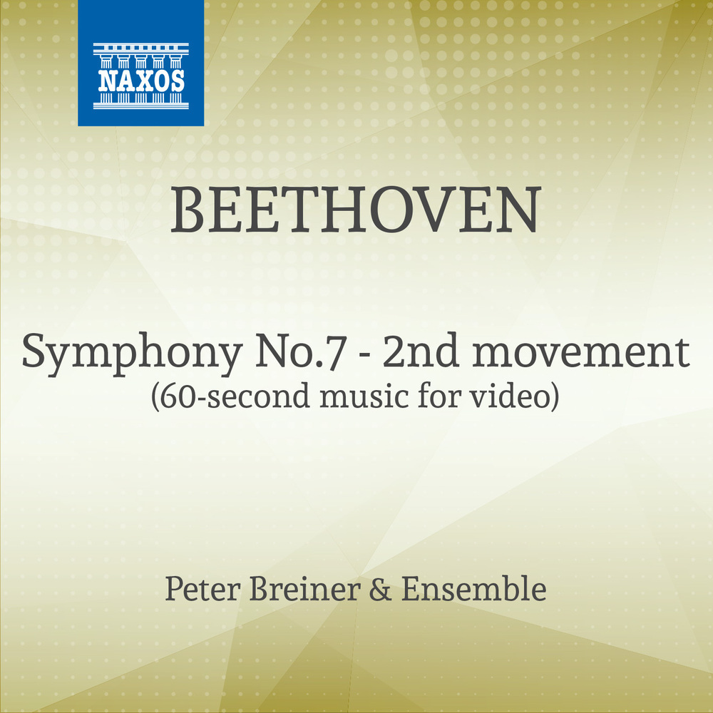 Symphony No.7 - 2nd movement (60 sec Version for Tiktok)