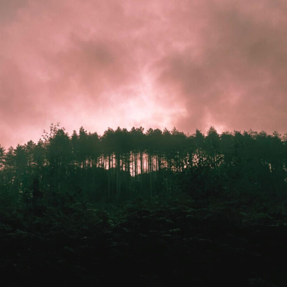 Past Lives (feat. Harbor Fate & Sonant) (Ambient Version)