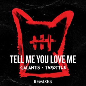 ดาวน์โหลดและฟังเพลง Tell Me You Love Me (Two Can Remix) พร้อมเนื้อเพลงจาก Galantis