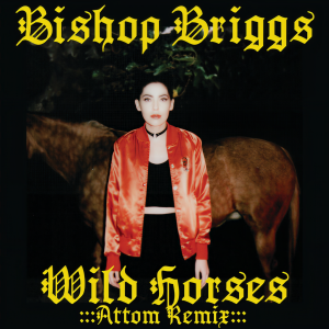 ดาวน์โหลดและฟังเพลง Wild Horses (Attom Remix) พร้อมเนื้อเพลงจาก Bishop Briggs