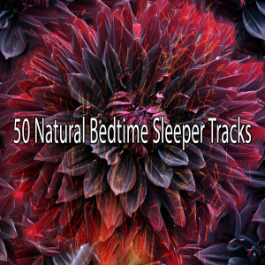 Baby Sleep的专辑50 Natural Bedtime Sleeper Tracks