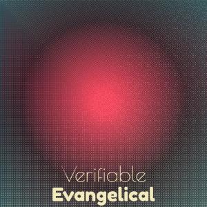 Various Artists的專輯Verifiable Evangelical