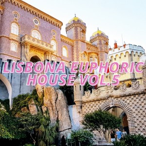 Various的专辑Lisbona Euphoric House Vol.5