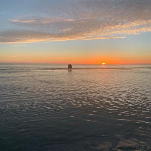 收聽NAB的No Recuerdo歌詞歌曲