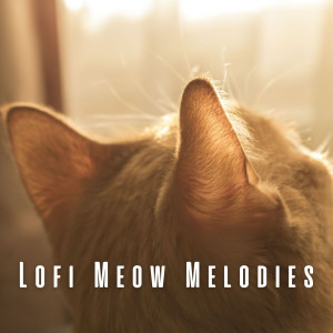 Lofi Meow Melodies: Soothing Tracks for Peaceful Cats