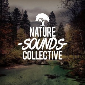 ดาวน์โหลดและฟังเพลง Pondland Birds พร้อมเนื้อเพลงจาก Outside Broadcast Recordings