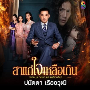 อัลบัม สาแก่ใจเหลือเกิน (Ost. เพลิงภริยา) ศิลปิน ปนัดดา เรืองวุฒิ