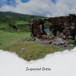 Album Inspected Outta from Various
