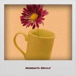 收听Dony Olger的Wherewith Obvious歌词歌曲