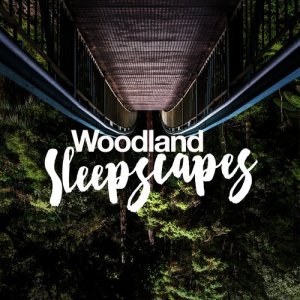 ดาวน์โหลดและฟังเพลง Afternoon Woodland พร้อมเนื้อเพลงจาก Forest Soundscapes