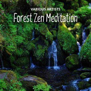 收听Music for Sleep的Chakra Healing Sonido Del Mar歌词歌曲