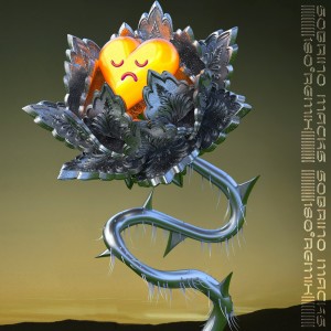 Listen to 180° (MACKS Remix) song with lyrics from Sobrino