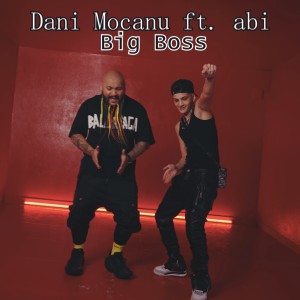 Album Big Boss from Dani Mocanu