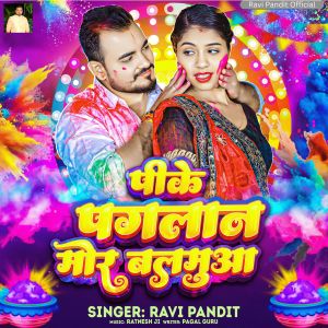 Album Pike Pagalan Mor Balamua from Ravi Pandit