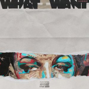 Listen to What I Want (Explicit) song with lyrics from Higgz