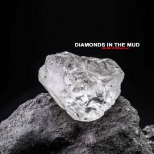 Listen to Diamonds in the Mud song with lyrics from Anth