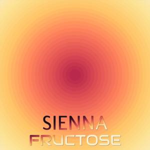 Various的专辑Sienna Fructose