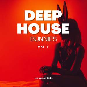 群星的專輯Deep-House Bunnies, Vol. 1 (Explicit)