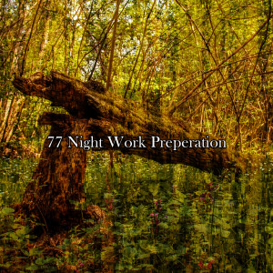 Lounge relax的专辑77 Night Work Preperation