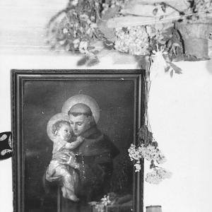 Listen to Faza Życia song with lyrics from Innercity Trio