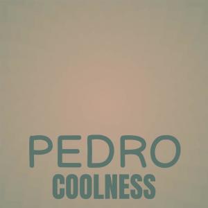 Various Artists的專輯Pedro Coolness