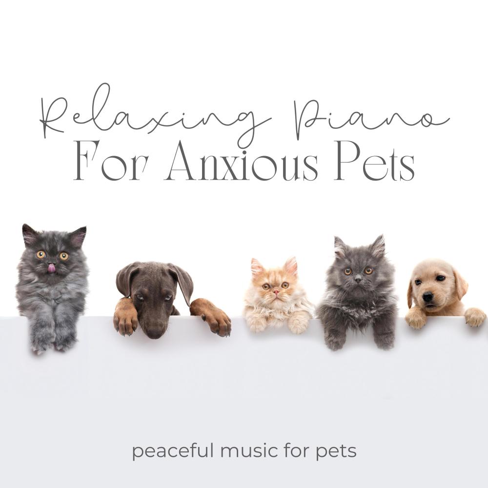 Relaxing Music For Anxious Pets