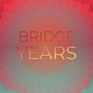 Various的专辑Bridge Years