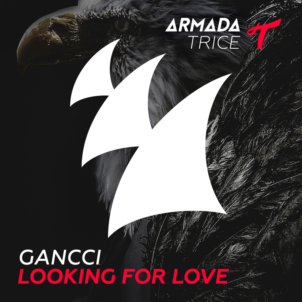 Looking For Love (Original Mix)