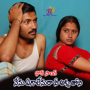 Album NENU EAGALENU NEE AKKA THONI FOLK SONG from Sai Chand