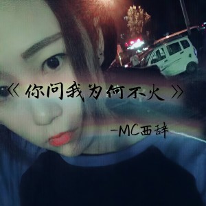 Album 你问我为何不火 from 